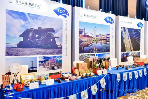 顺着运河来看海 宁波文旅推广吸引沪上游客